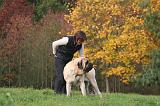 ADULTE ET CHIEN 489